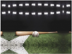 Colcha de Flanela Macia e Quente para Sofá Quarto Estampa Campo Beisebol 152 4 X 127 Cm, Macio, Quente, Ideal