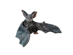 Pelúcias Tímidas De Halloween, Presentes Peludos Para Crianças Ly Ebike