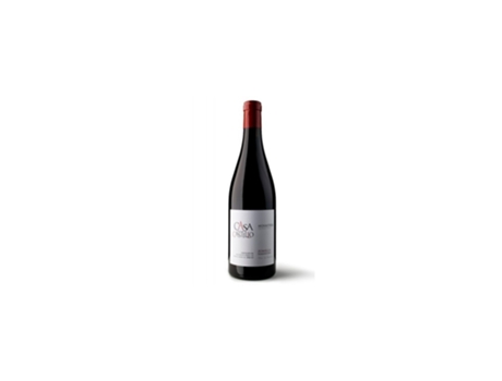 Monastrell 2020 CASA CASTILLO