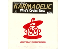 Vinil Karmadelic - Who's Chest (1CDs)