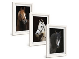 Galeria De Pinturas Murais Retratos De Cavalos Em Tons De Pelo Moldura Branca Fotos Para O Corredor Espelharte (3 Peças 20x30 Cm)