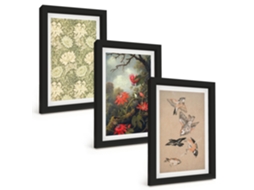 Composição De Quadros Flores, Pássaros, Natureza, Natureza Espelharte (3 Peças 20x30 Cm)
