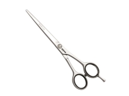 Tesoura para O Cabelo FAMA FABRÉ Jaguar 6 5