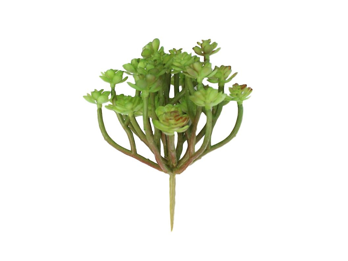 1Pcs Suculenta Artificial ALLINLESS
