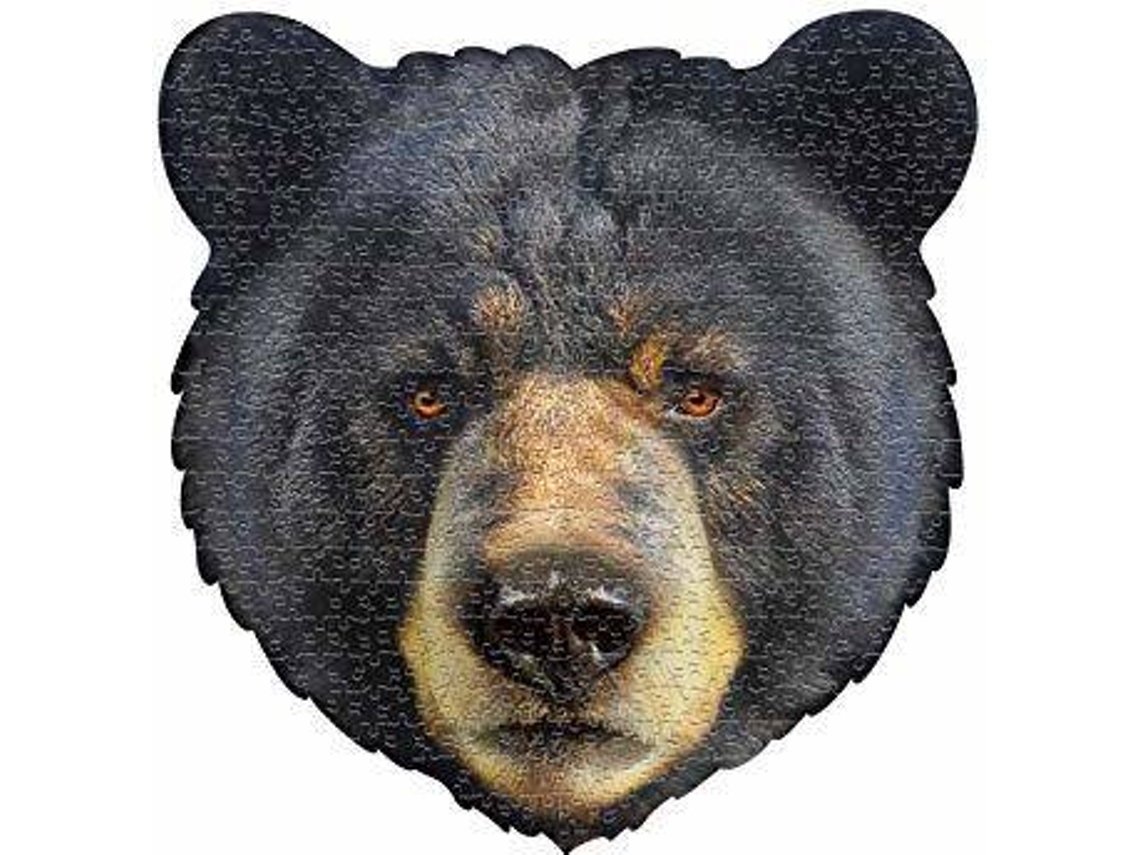 Jogo Didático MADD CAPP I AM Bear (Idade Mínima: 4)