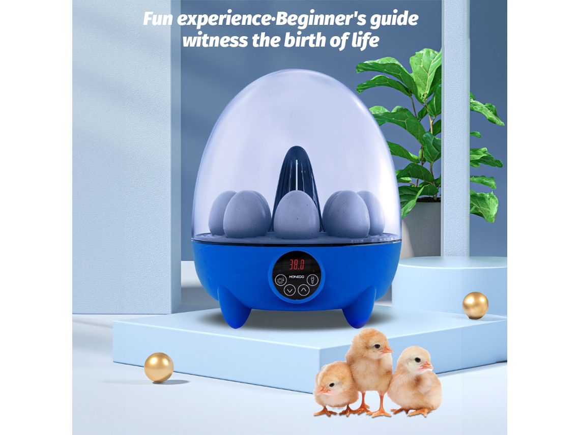 Incubadora De Ovos Com Controle De Temperatura E Luz Led