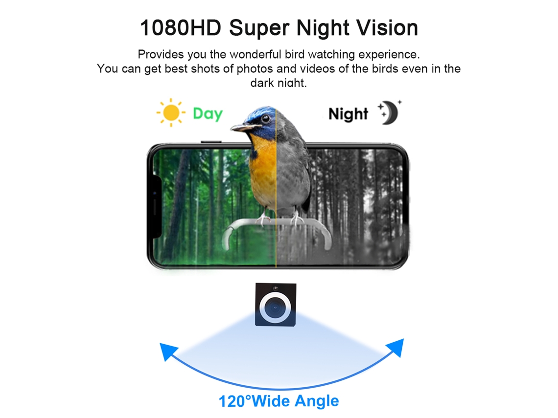 Camera Pássaro Inteligente 1080p LAXISCREED
