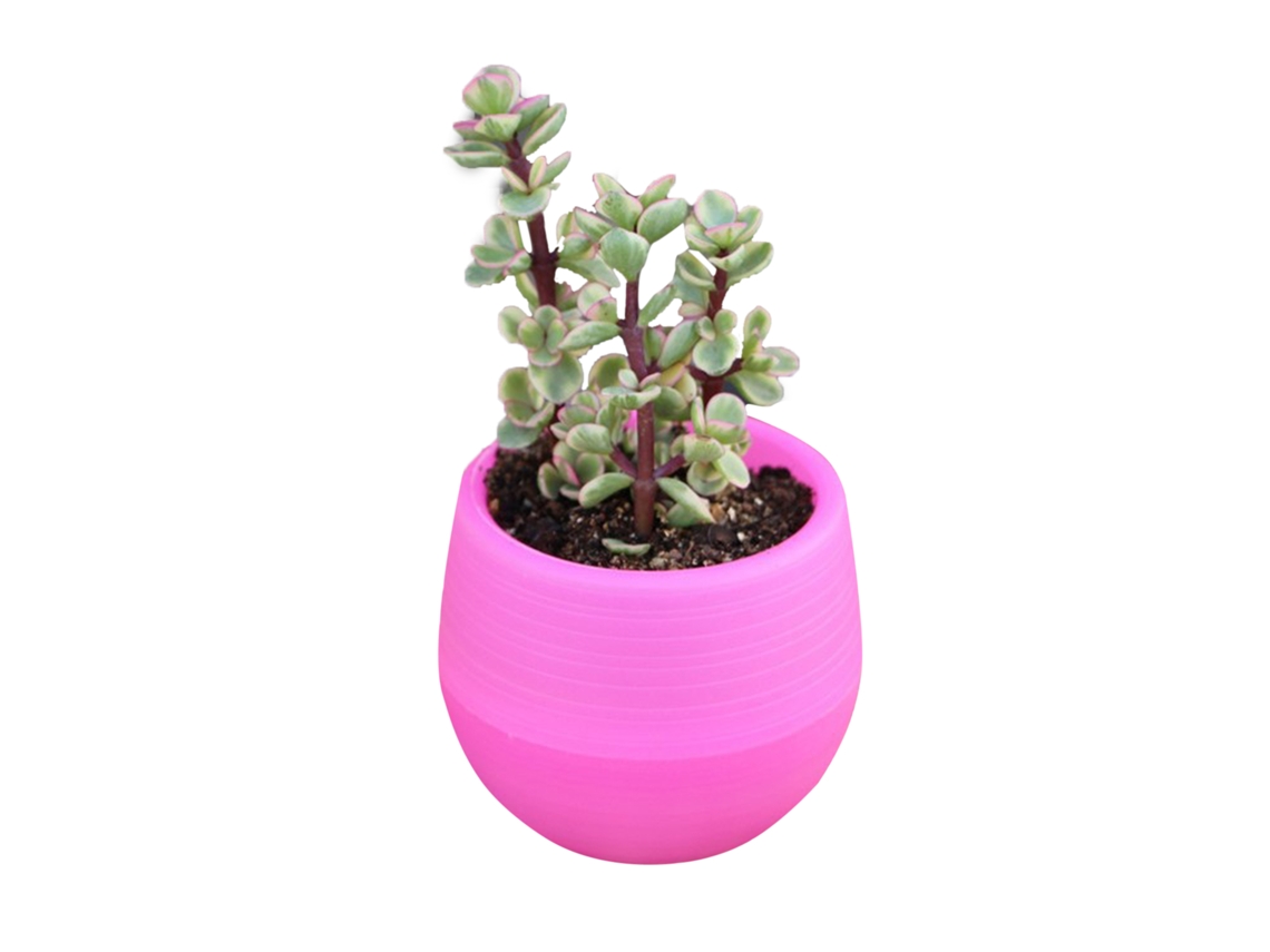 Vaso de Plástico Mini Primerox para Suculentas com Drenagem Jardim Varanda Rose Red