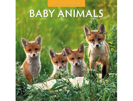 Livro Baby Animals 2025 Square Wall Calendar de Red Robin (Inglês)