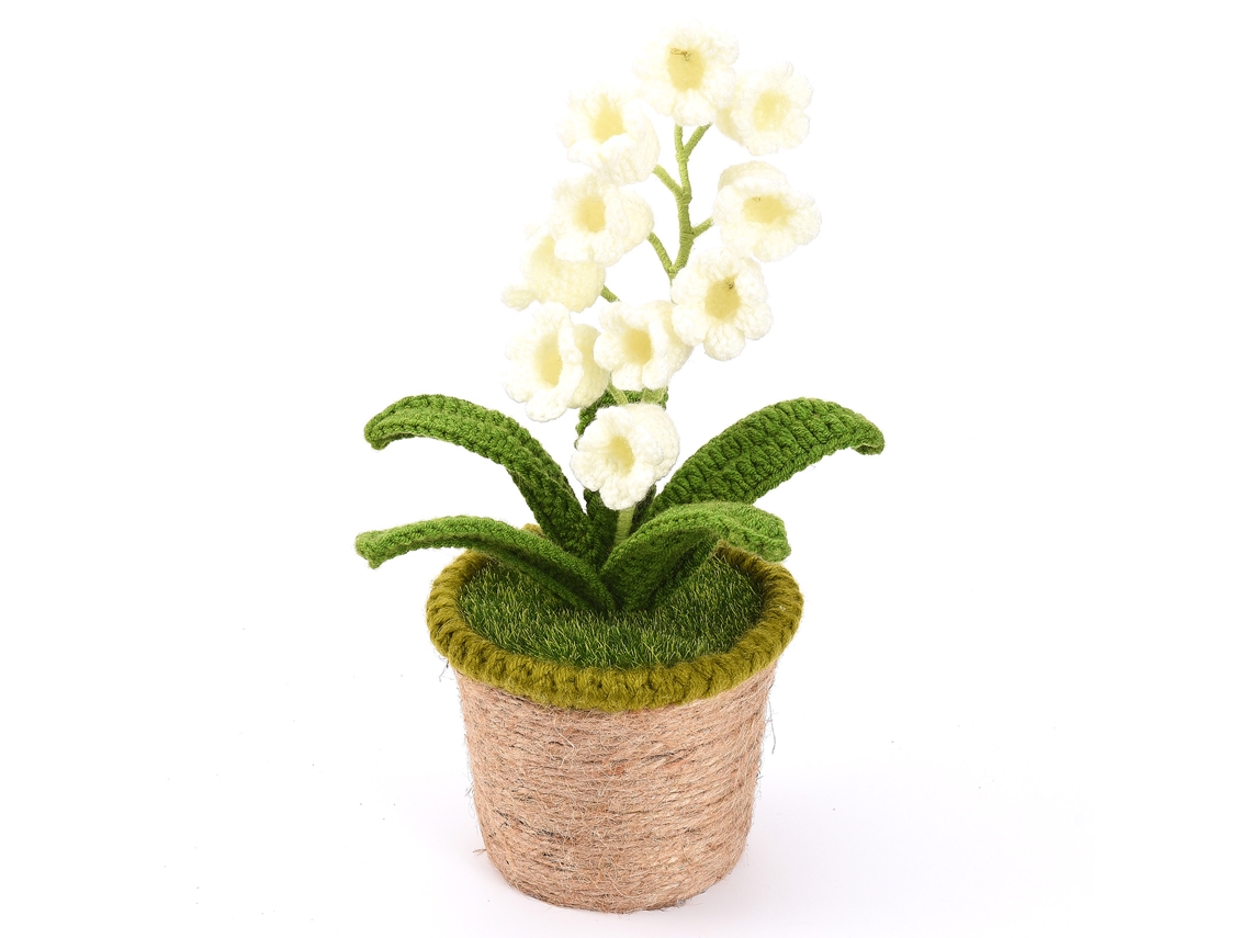 Planta em Vaso de Lírio dos Vales LAXISCREED