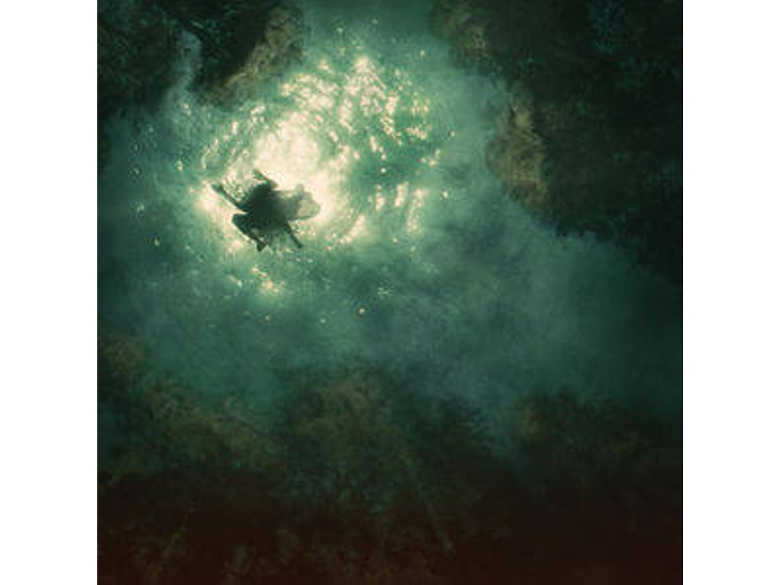 CD Braids - Companion (1CDs)