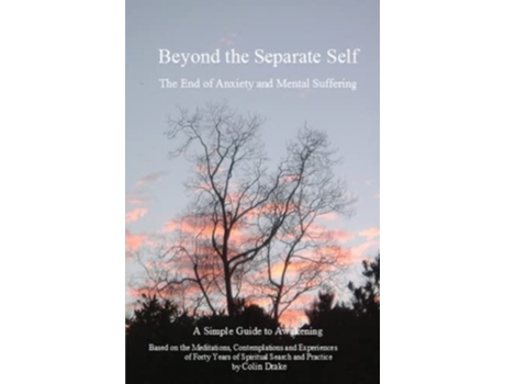 Livro Beyond the Separate Self de Colin Drake (Inglês)
