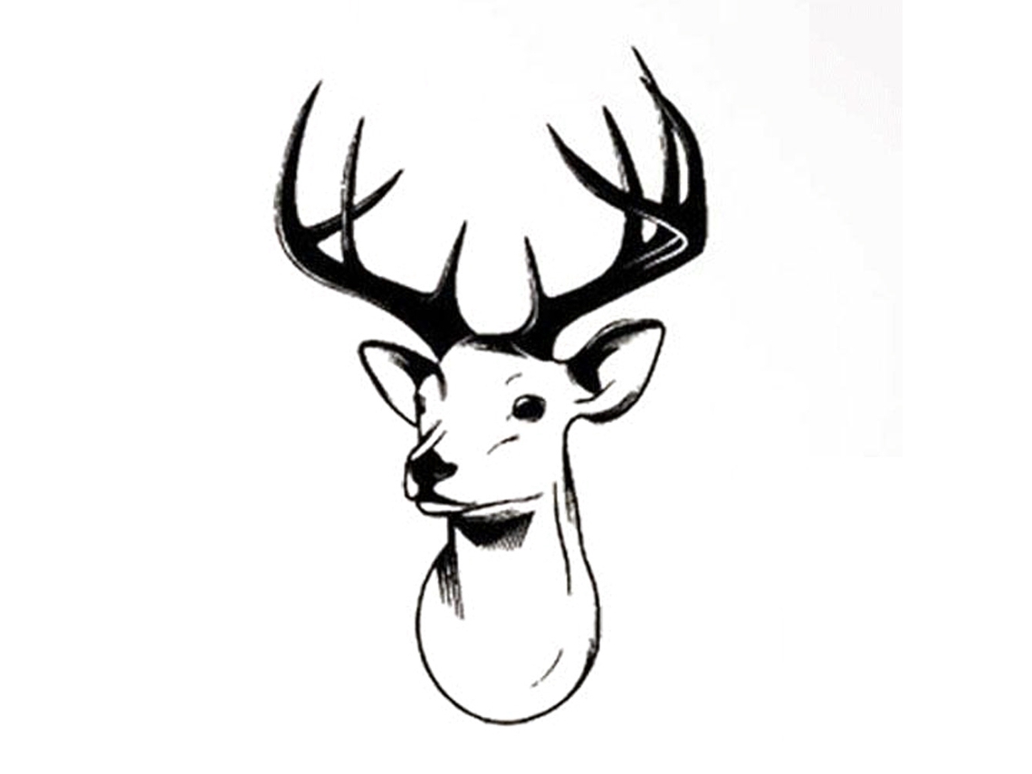 Decal De Parede Decorar Ambientes Fundo Para Quartos