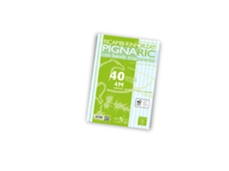 02194594m Pigna Caderno de Exercícios