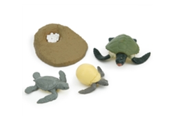 Mali modelo de Ciclo de Vida Animal Tartaruga Brinquedo Educativo para Crianças Pvc Simulação