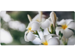 Mousepad Grande para Computador com Estampa de Lindas Flores Brancas Frangipani , Base Borracha Anti (plumeria)