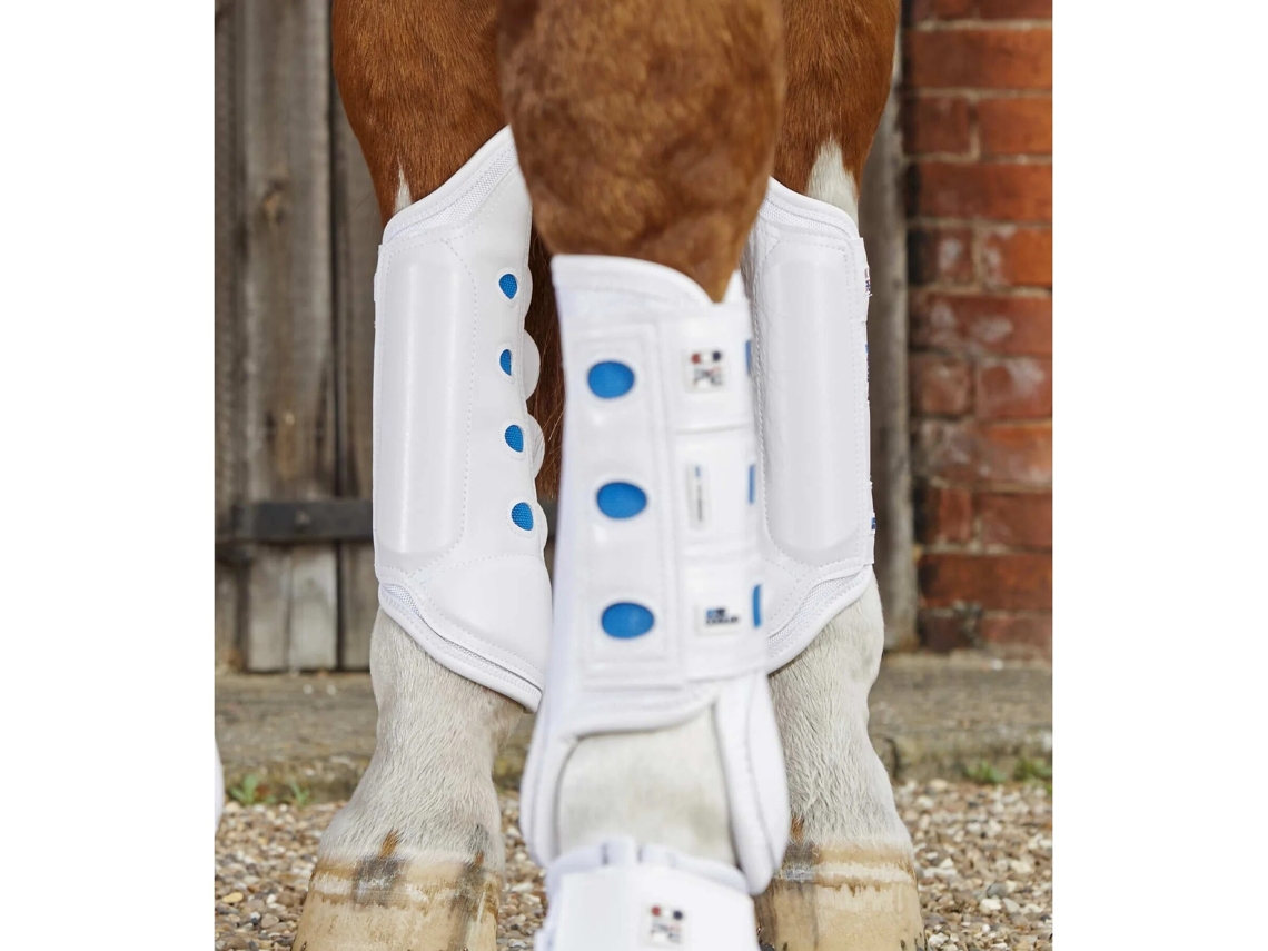 Botas para Equitação PREMIER EQUINE (Unissexo - Branco - Postérieurs/M)