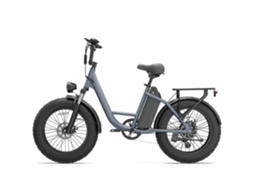 Bicicleta Elétrica - URLIFE - E20 Pro - 750w 48v15.6ah 20'' Freio a Disco Ebike Cinza