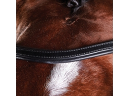 Cabeçadas de Treino para Cavalos WEATHERBEETA Collegiate Comfitec
