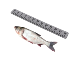 Régua de medição autoadesiva em espuma EVA, 91,4 cm, para barcos e caiaques, versátil, S/MARCA