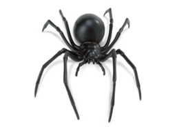 SAFARI Black Widow Spider