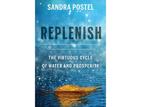 Livro Replenish de Sandra Postel (Inglês)