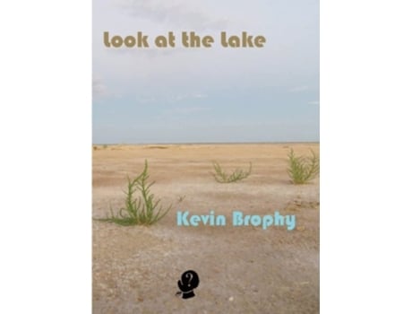 Livro Look At The Lake De Kevin Brophy (inglês)