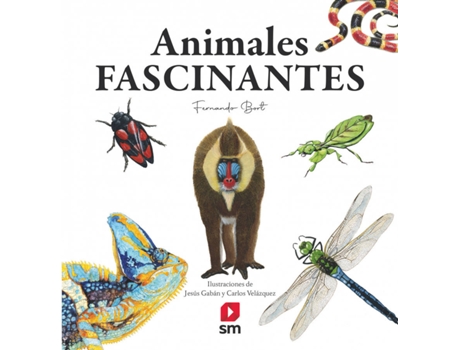 Livro Animales Fascinantes de Fernando Bort Misol (Espanhol)