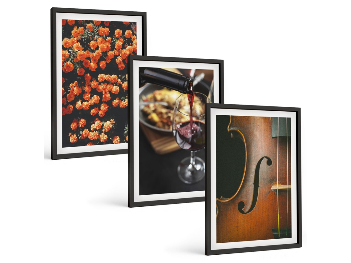 Composição De Quadros Flores Vintage, Vinho, Violino Moldura Preta Quadros Para A Sala De Estar Espelharte (3 Piezas De 40x60 Cm)