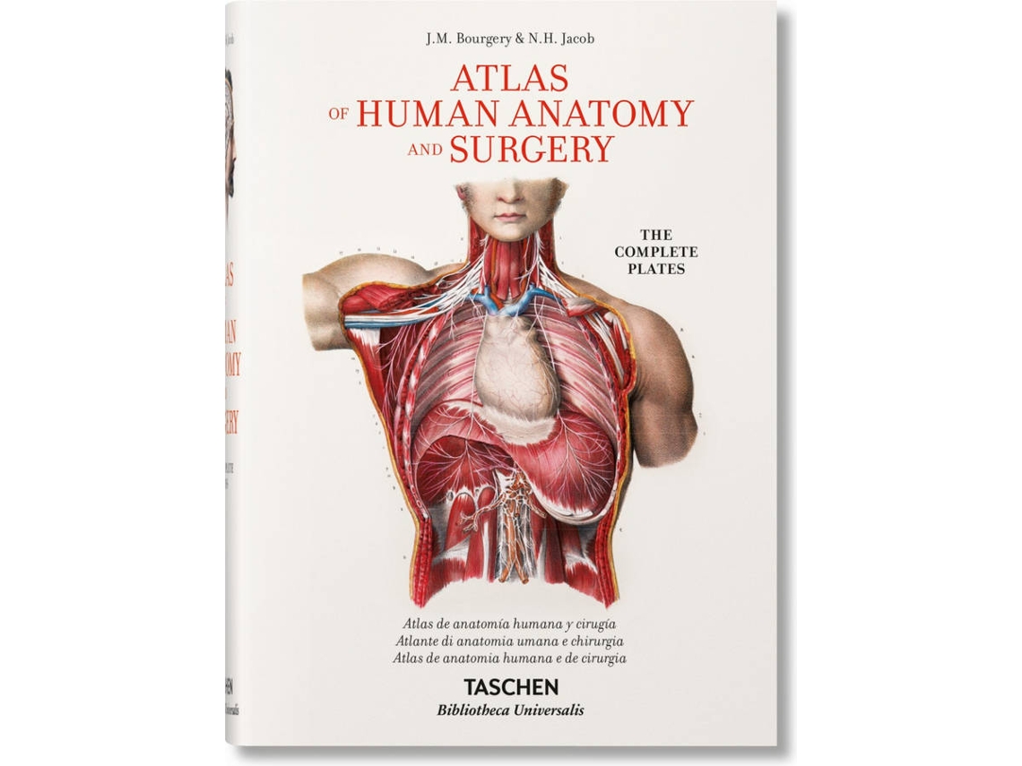 Livro Bourgery, Atlas Anatom. Hc (Inglês)