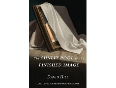 Livro The Sunlit Pool of the Finished Image de David Hill (Inglês)