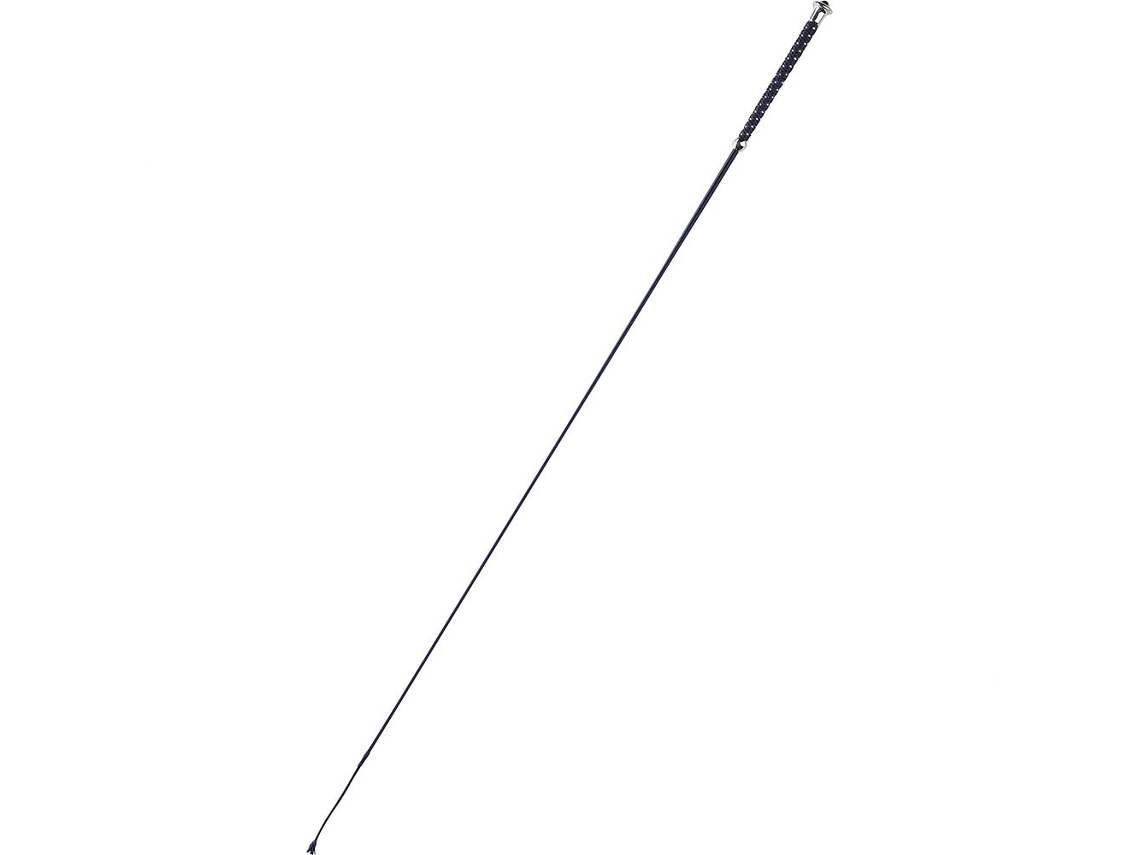 Chicote de Adestramento Points Azul 110 Cmwhip&Go