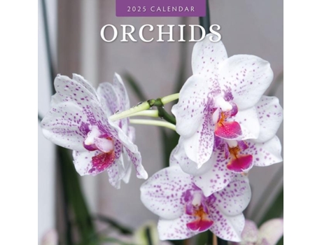 Livro Orchids 2025 Square Wall Calendar de Red Robin (Inglês)