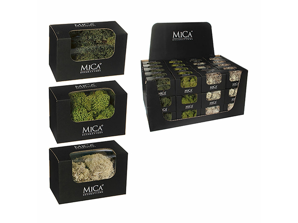 Planta Decorativa Mica Decorations 50 g Musgo