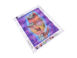 Kit De Pintura Com Pedras Strass Para Profissionais: Mapa De Coruja Relaxante, Cores Brilhantes, Diy Interessante