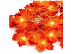 Cordão De Luzes Led, Para Decoração De Casa, Festas, Jardim E Eventos, Formato Prático, Instalação Simples