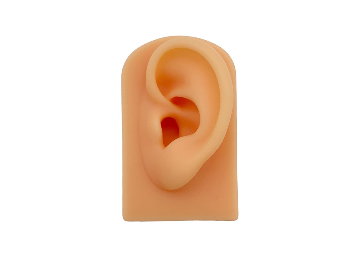 Simulação De Orelhas De Silicone, Modelo De Orelha Invertida, Brinquedo, Novo Produto, Adereços, Orelhas De Exibição Nostalgia88