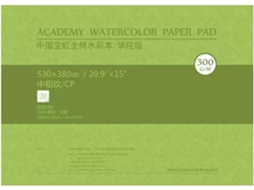 Pacote Com 20 Folhas De Papel Aquarela De Algodão Sem Ácido, 300 G/m² - Bloco De Desenho Multifuncional