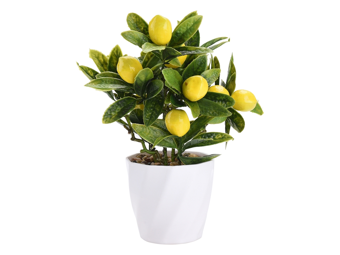 Laxiscreed Vaso De Flores De 24cm Com Embalagem De 10x10x20cm Para Decorações E Arranjos