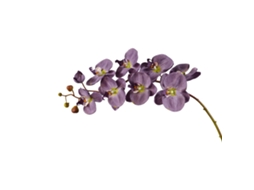 Laxiscreed Flor De Phalaenopsis Artificial Xianwen Com 9 Cabeças E Cores Outonais, Altura 104cm