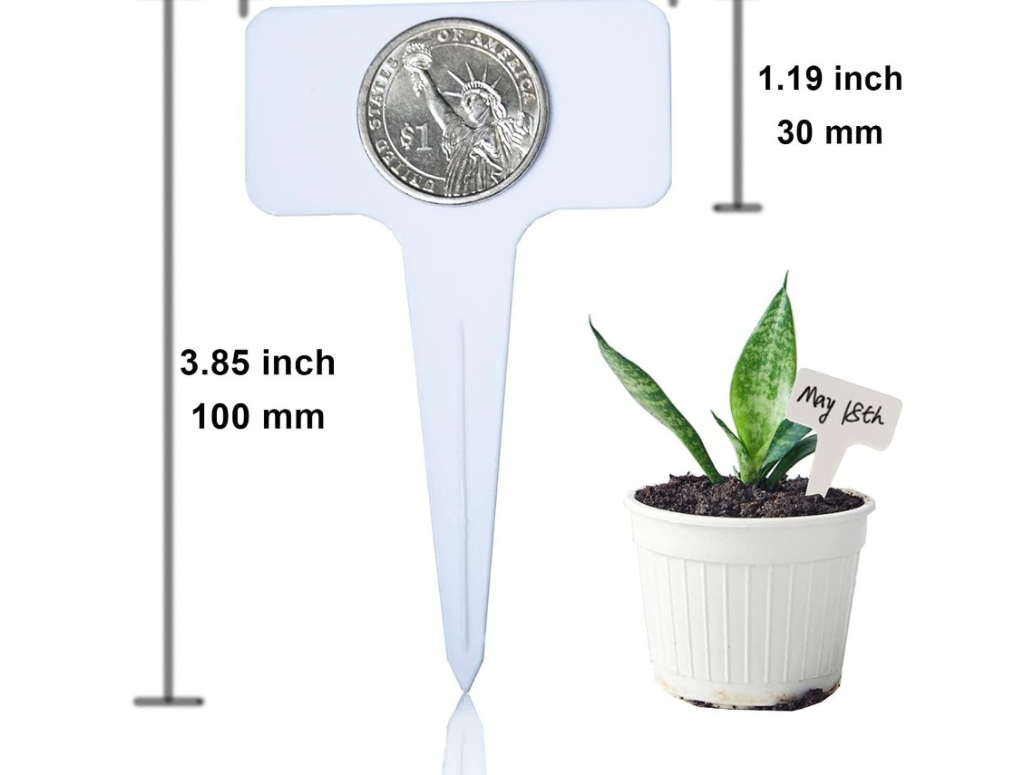 100 Etiquetas Plásticas Para Plantas