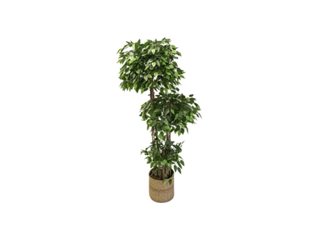 Ficus Artificial 3 Xícaras 175 Cm MAIA SHOP