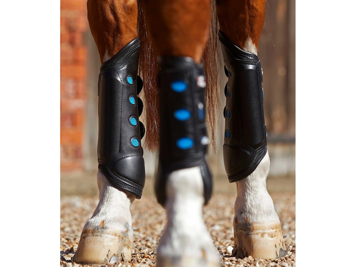 Botas para Equitação PREMIER EQUINE (Unissexo - Preto - Postérieurs/XS)