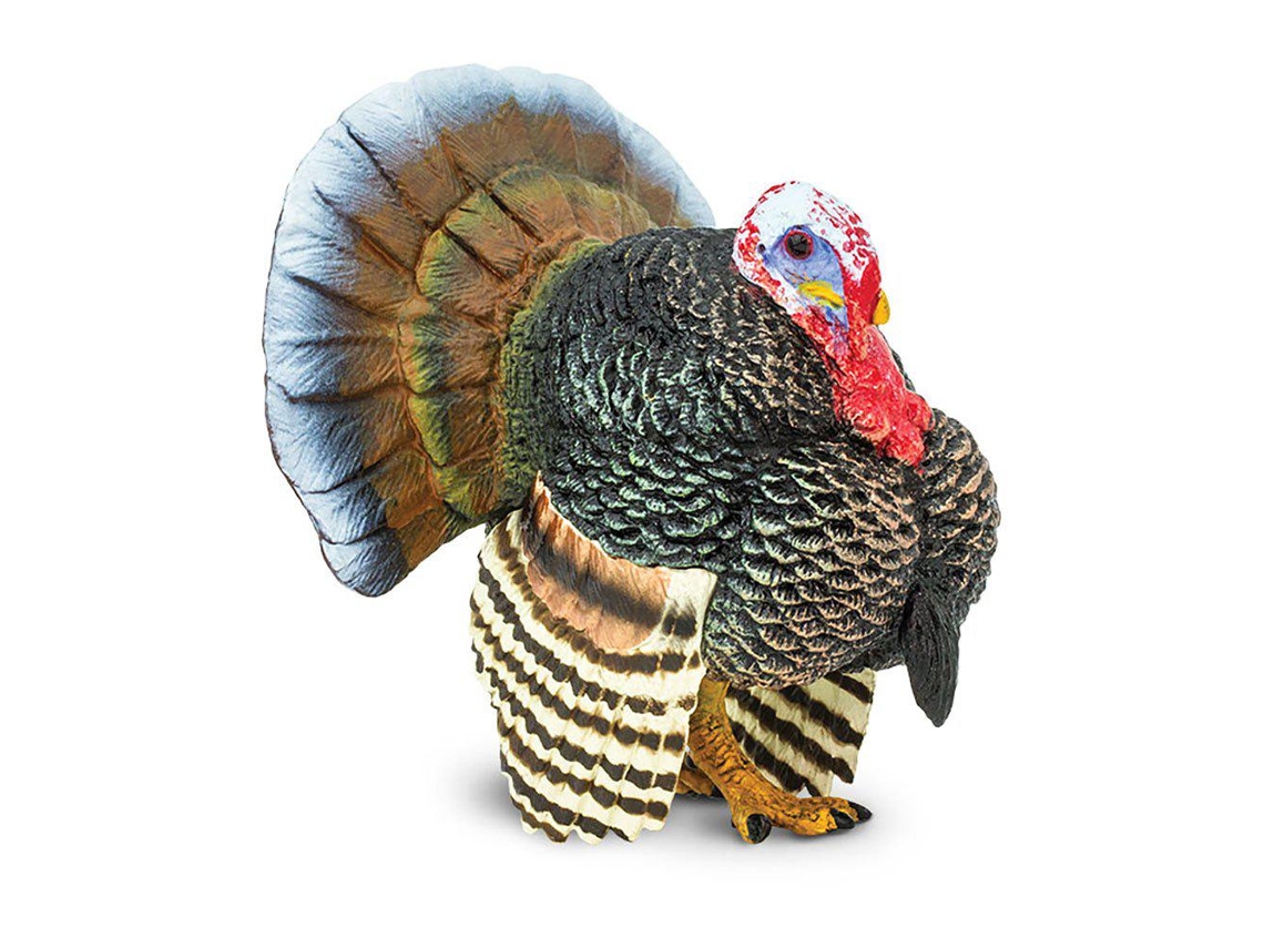 Safari Ltd Turkey