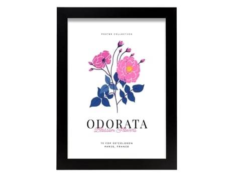 Póster Artemante NACNIC Pop. Ilustrações artísticas modernas odoratas para decoração de interiores.