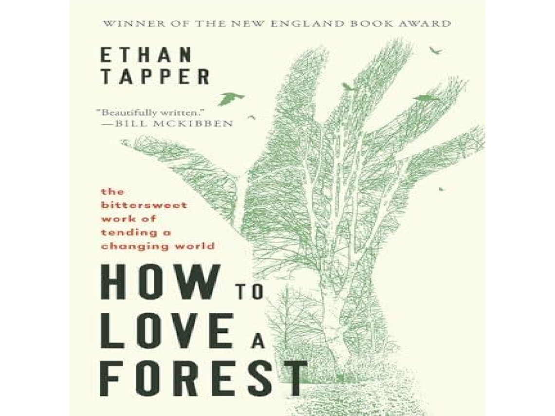Livro How to Love a Forest de Ethan Tapper (Inglês)
