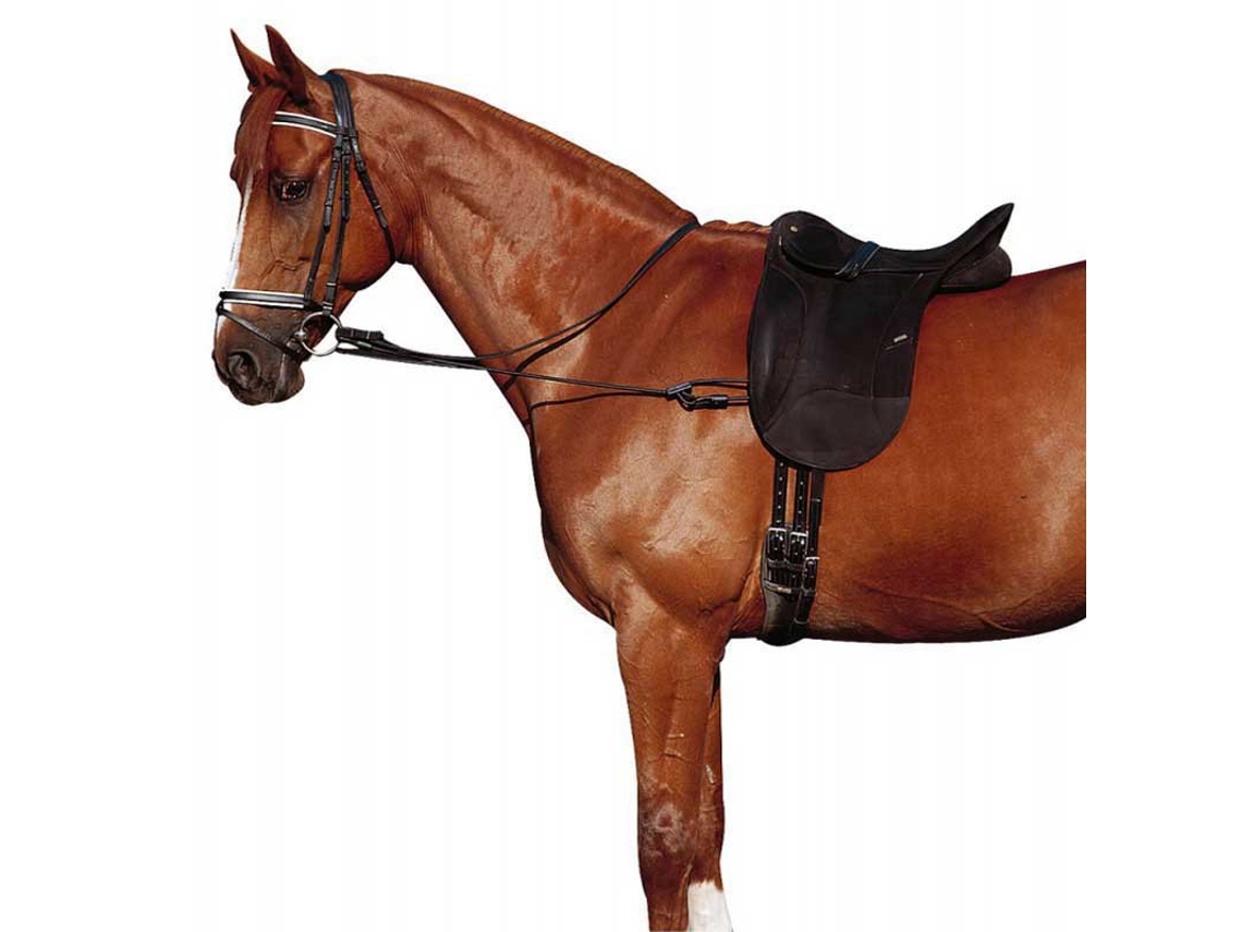 Chambon Elástico Ajustável Castanho Fullnorton Equestrian