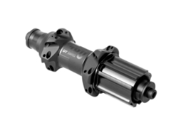 Dt Swiss 180 Straightpull Exp 36 Campagnolo Rear
