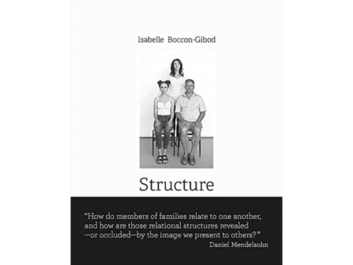 Livro Structure De Daniel Mendelsohn (inglês)