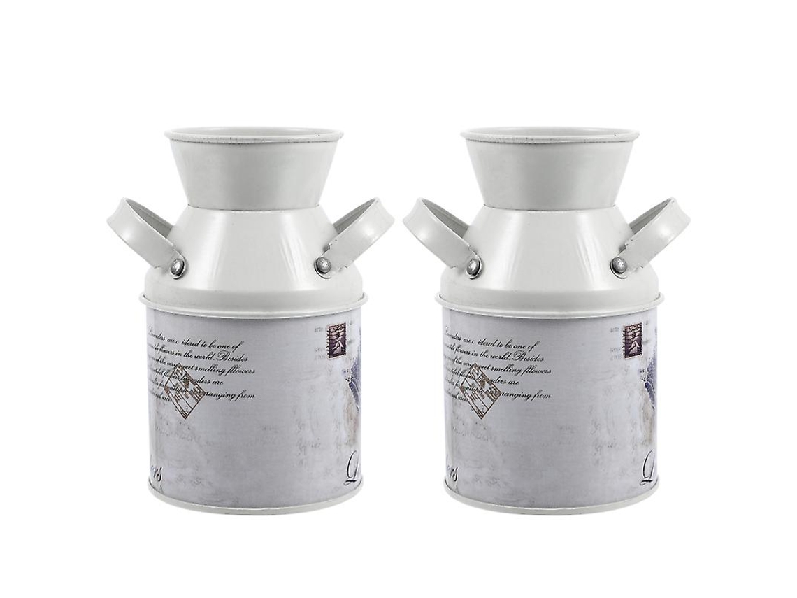 2 Unidades de Recipiente de Flores de Ferro ALLINLESS